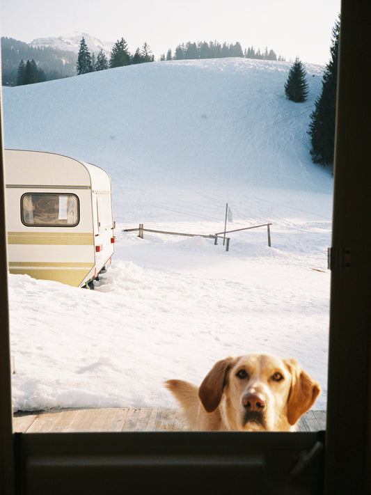 Wintercamp