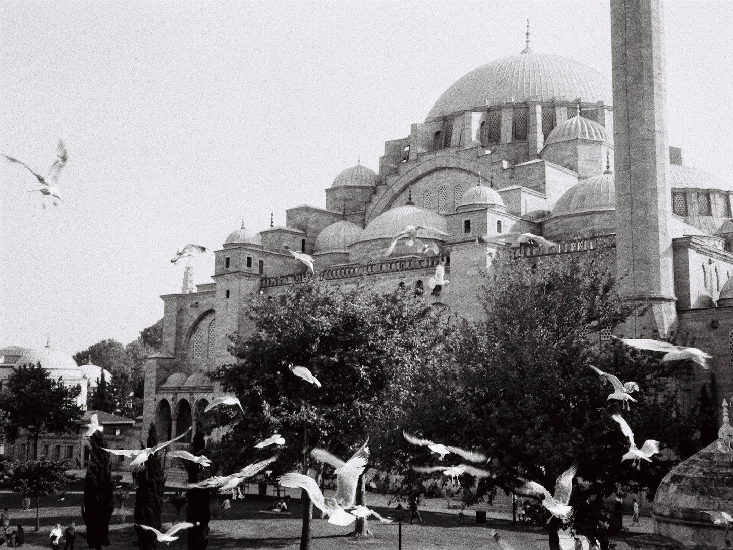 Istanbul
