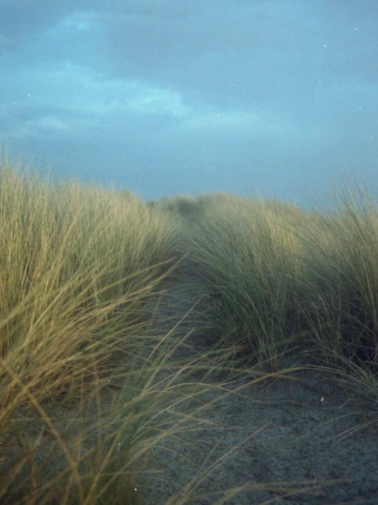 Dünen in Belgien