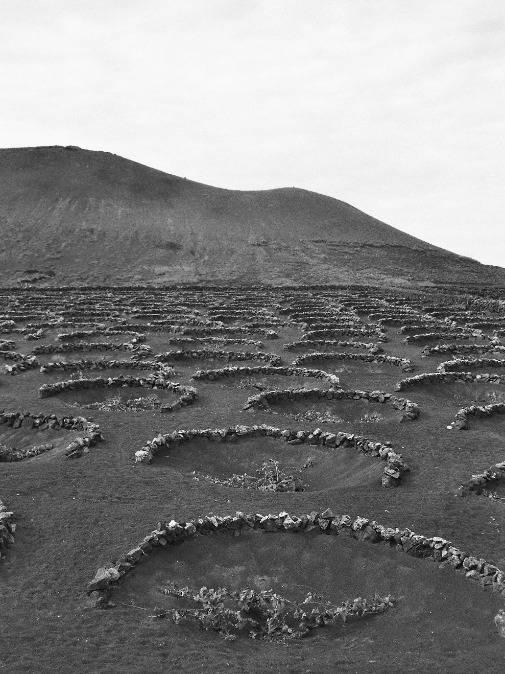 Lanzarote