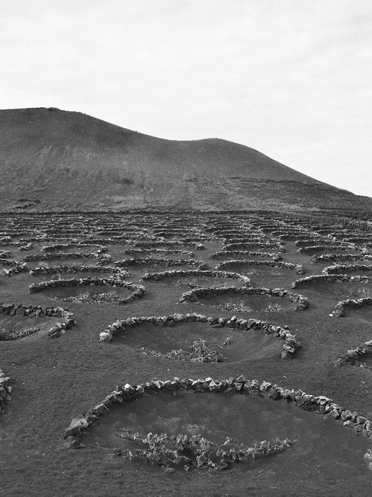 Lanzarote